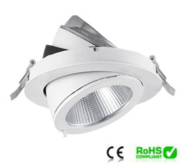 Cob Down Light 12w