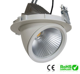 Cob Down Light 30w