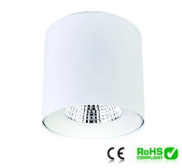 Surface mount downlight