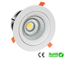 Cob Down Light 50w