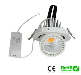Cob Down Light 20w