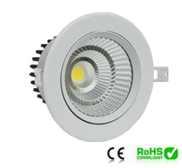 Cob Down Light 12w