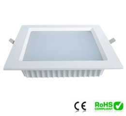 Cob Down Light